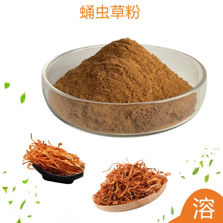 水溶性 蛹虫草粉 新资源食品 原料 支持试样 包运价