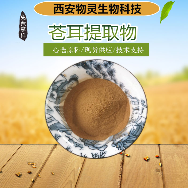 苍耳提取物 10:1水溶浓缩粉 食品级原料 喷雾干燥 多种规格