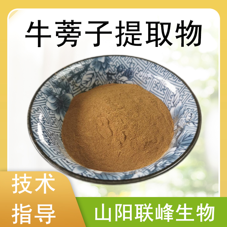 牛蒡子提取物 10：1牛蒡子粉 喷雾干燥工艺 水提 食品原料