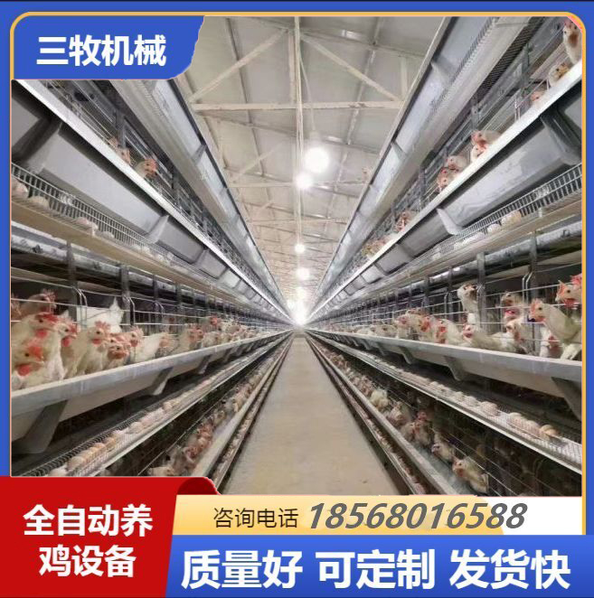层叠式蛋鸡笼设备 鸡舍育雏笼供应厂家 现代化养鸭场蛋鸭笼厂家