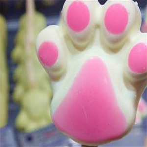 艾可玛奇水果棒冰