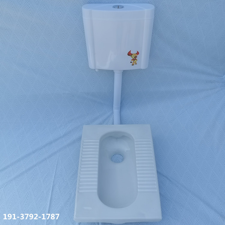 家用卫生间挂墙式水箱 蹲坑冲水器蹲厕旱厕池