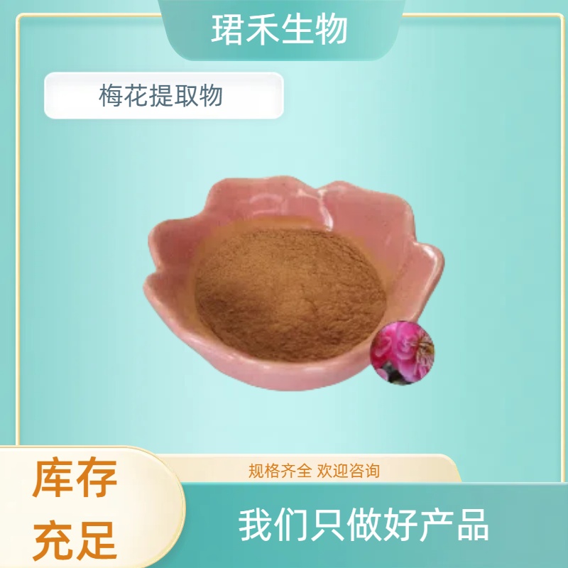 梅花提取物 10:1多规格可定制 梅花浓缩粉 喷雾干燥粉 水溶性好