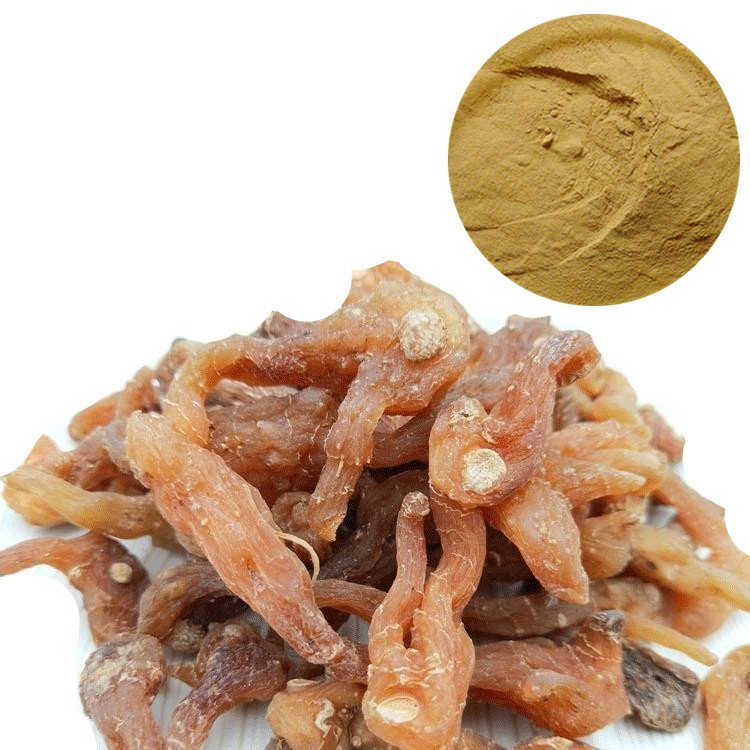 黄精粉 斯诺特多规格比例浓缩 水溶固体饮料压片代工