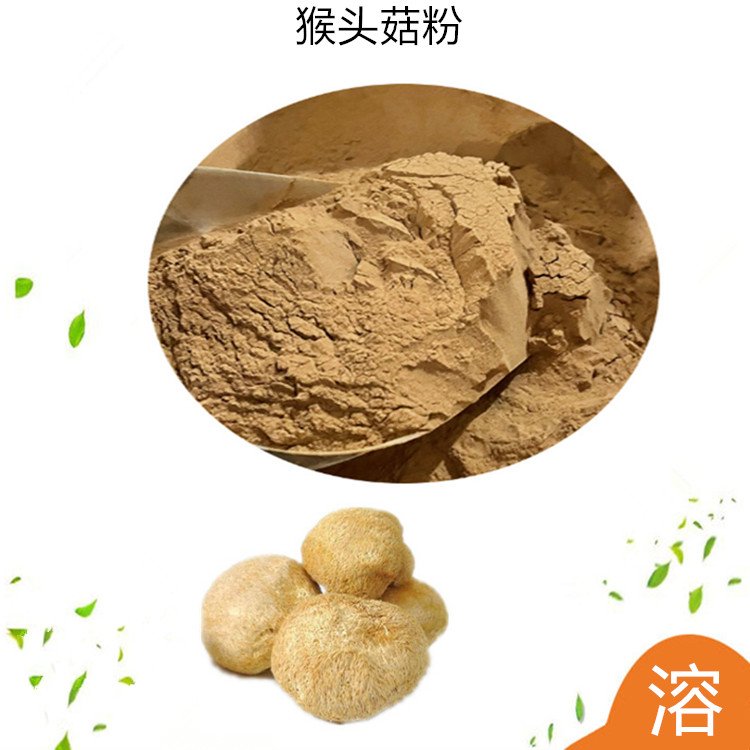 斯诺特 猴头菇粉 提取物 浸膏采购 常年足量供应