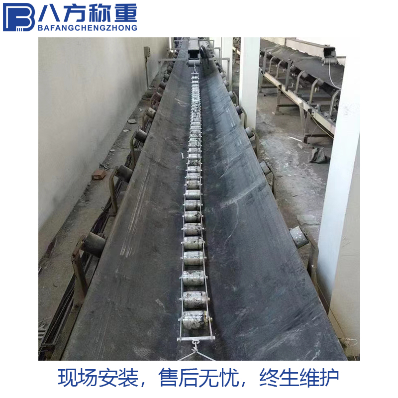 八方称重 不锈钢自动循环链码电子皮带秤校验砝码标定 设备生产厂家