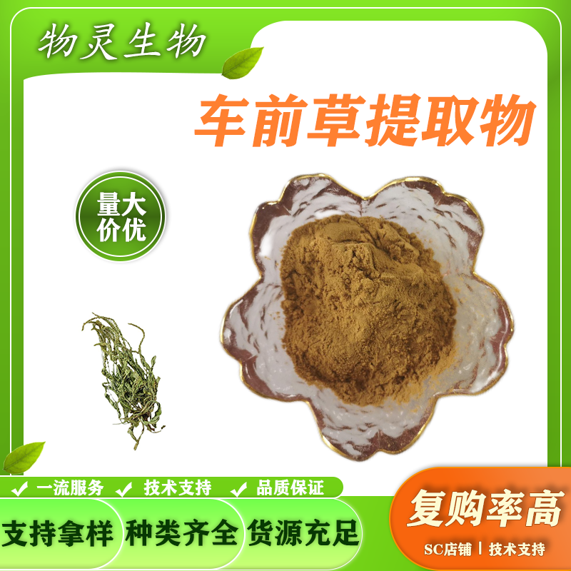 车前草提取物 植物提取物原料粉 水溶性车前草粉 物灵生物供应