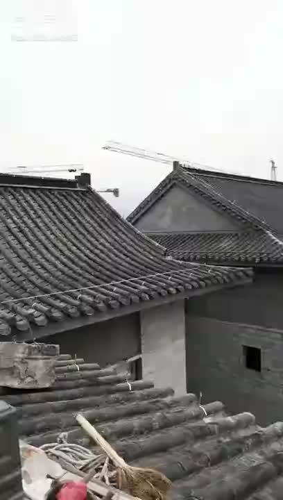 视频