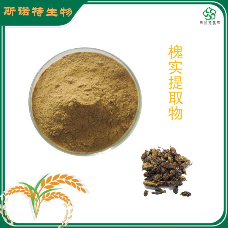 槐角提取物20:1 速溶槐实粉 斯诺特 库存大 发货快