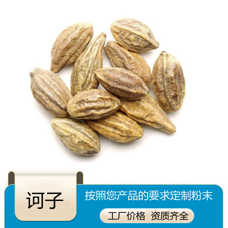 诃子粉 斯诺特可定制浓缩浸膏液 各种不同规格易溶解