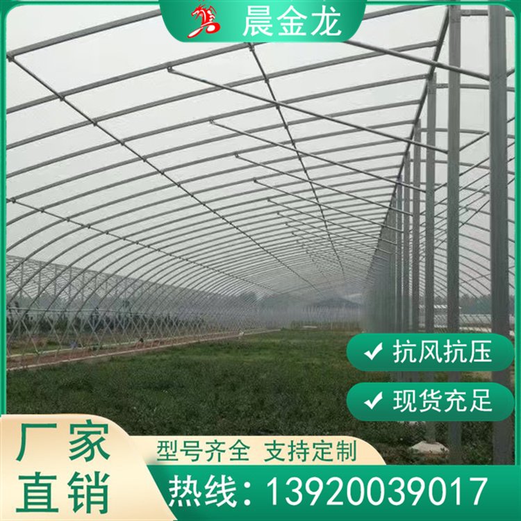 12米宽拱棚种植棚 根据您的需求定制 大棚管厂设计安装 30*60椭圆管