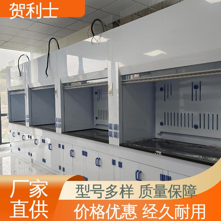 贺利士 规模生产 支持定制 抗冲击 PP实验室通风柜 节能环保