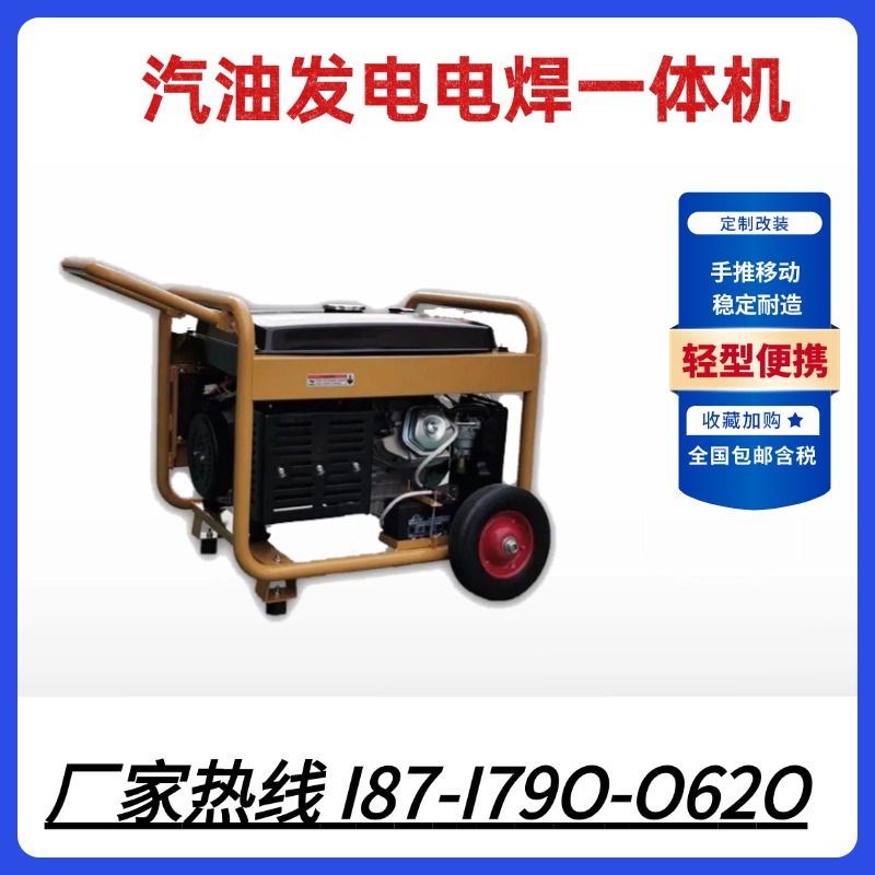 大泽动力小型190A汽油发电电焊机TOTO190AZ 单缸风冷