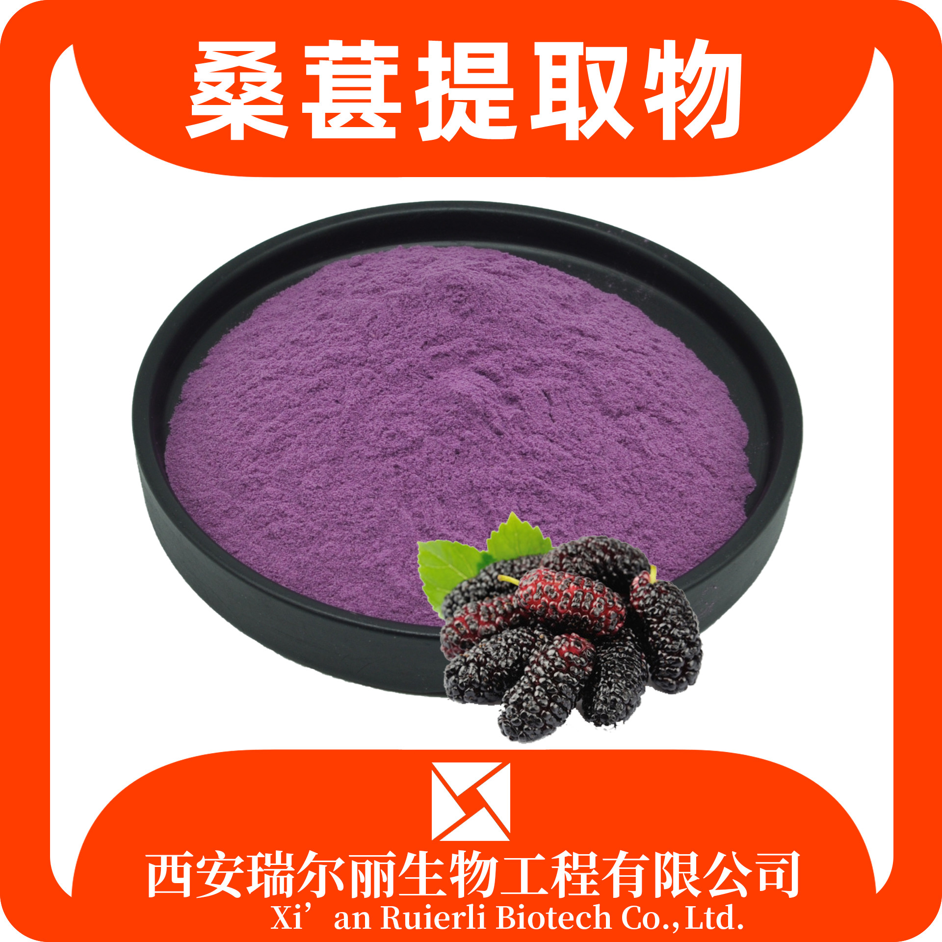 桑葚提取物 桑葚果粉 速溶浓缩 药食同源 花青素 SC证 瑞尔丽生物