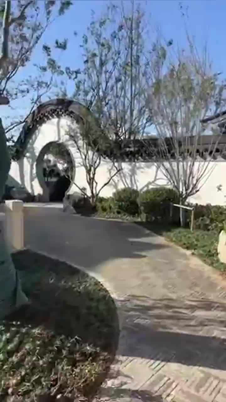 视频