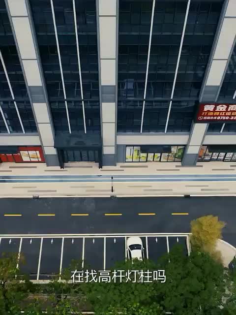 视频