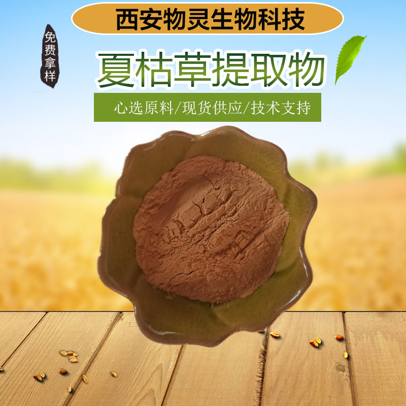 夏枯草提取物 食品级水溶性比例浓缩粉 植物萃取 规格齐全