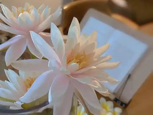 花集