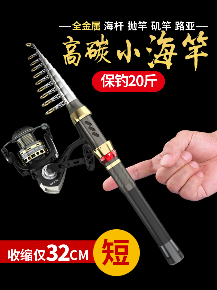 海竿短节钓鱼竿路亚迷你小海杆小抛竿岸抛阀杆桥筏钓竿矶钓竿套装