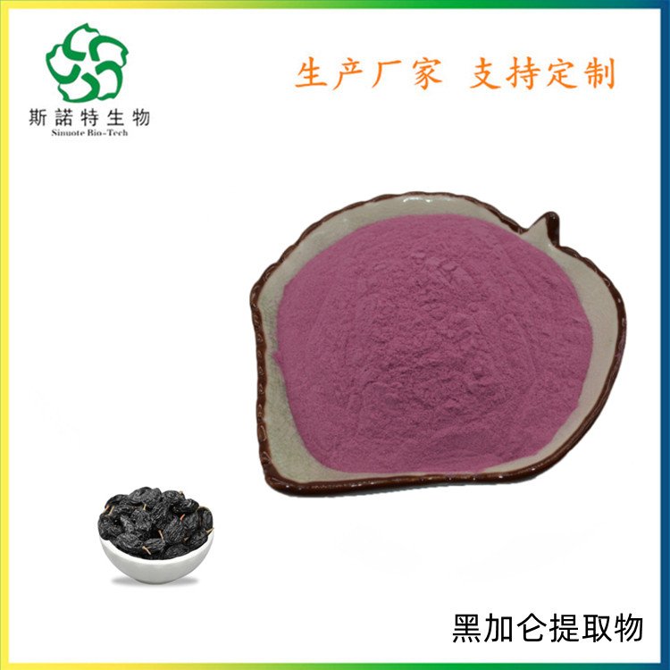 斯诺特 黑加仑提取物 速溶果粉 Black currant P.E.