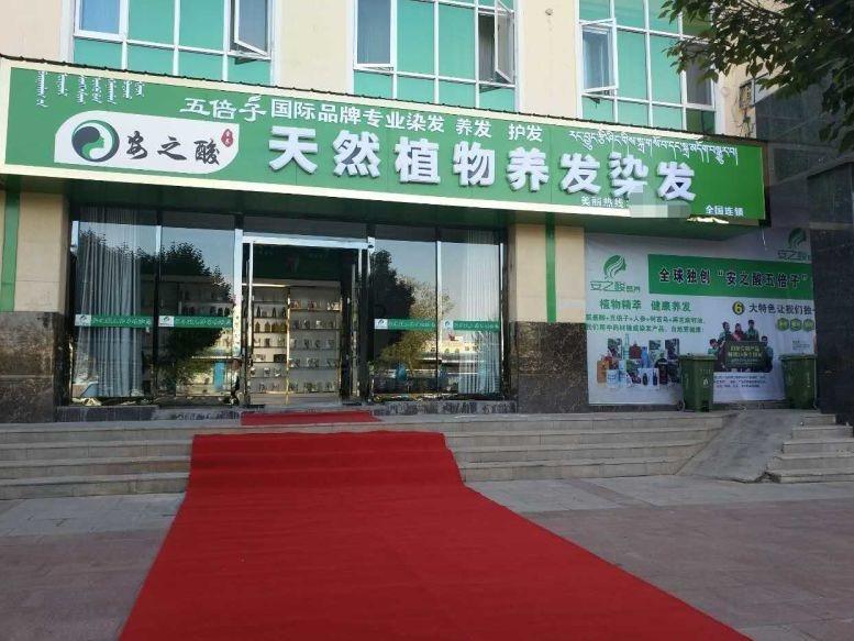 安之酸五倍子植物染发