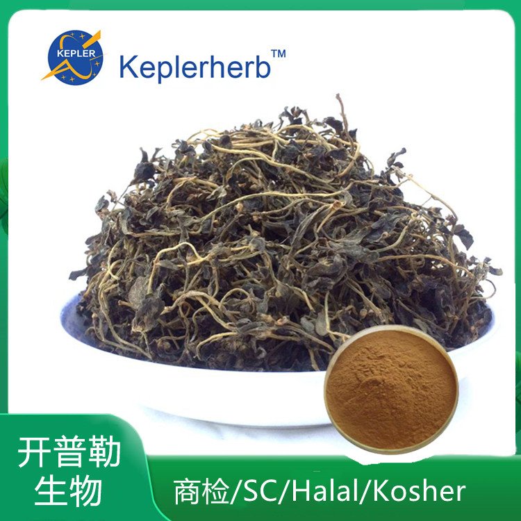 假马齿苋皂甙 植物提取物 开普勒生物加工定制 KPL-009