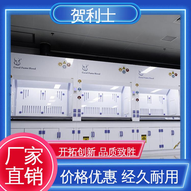 贺利士 pp抽风柜 PP实验室通风柜 防尘防静电 规模生产 支持定制