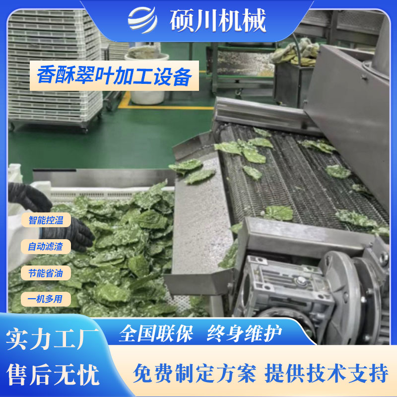天妇罗香酥翠叶油炸机菩提南瓜油炸设备桑叶紫苏叶裹浆油炸流水线