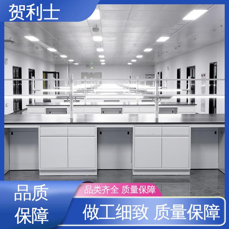 贺利士 科研院校制药 匠心优选 多年经验 耐火 全钢实验家具