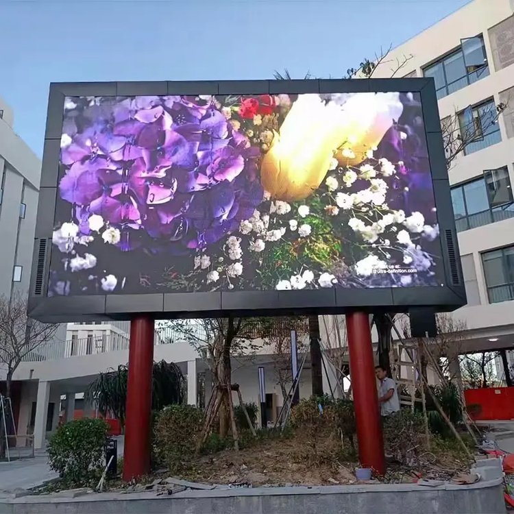 图片
