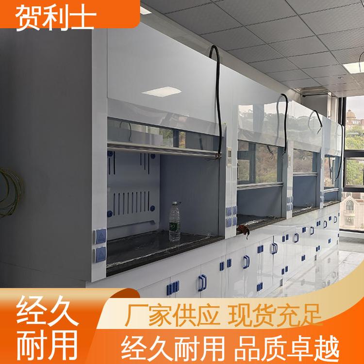 实芯理化板台面 pp落地式通风柜 坚实耐用 匠心打造 性能好 贺利士