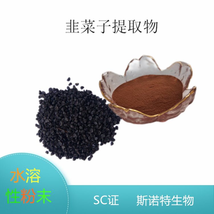 韭菜子提取物 水提或醇提 植物萃取 喷雾干燥粉 斯诺特