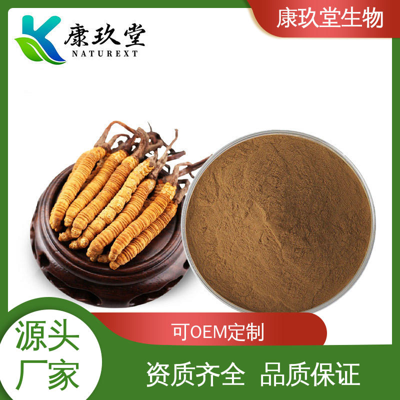 康玖堂 棕色粉末 Cordyceps Extract 设备先进 植物提取物