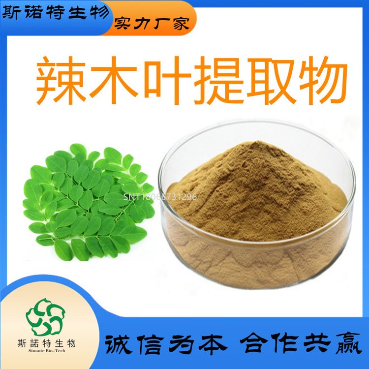 辣木叶提取物 植物萃取 浓缩鼓槌树粉 食品级 原料粉