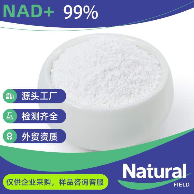 NAD+ β-烟酰胺腺嘌呤二核苷酸 98%免费样品工厂现货NAD+粉末