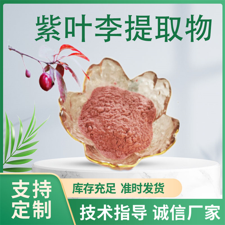 紫叶李提取物10：1 红叶李水溶果粉 浸膏 浓缩粉 联峰生物