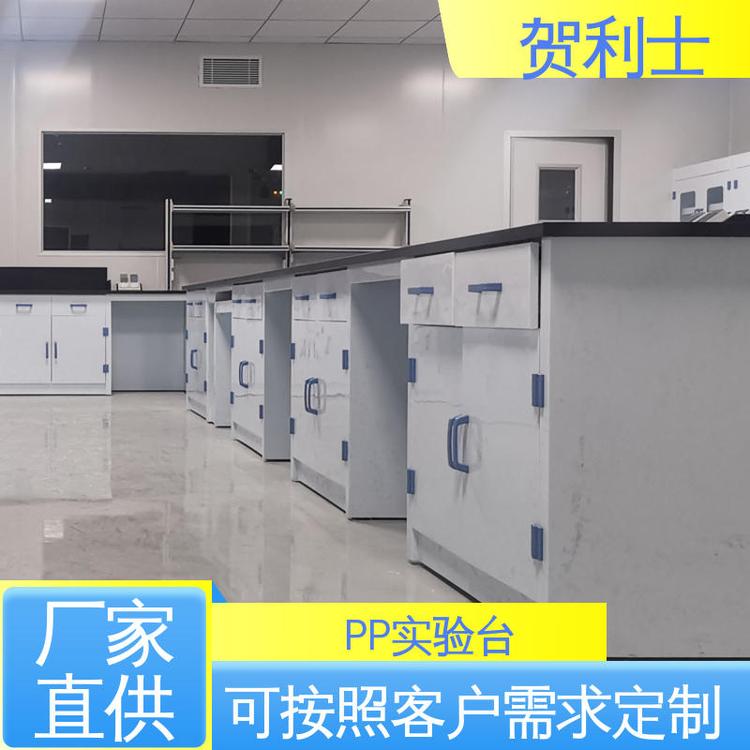 厂家直供 化工厂实验室 适用于医疗卫生 PP实验台 按需定制
