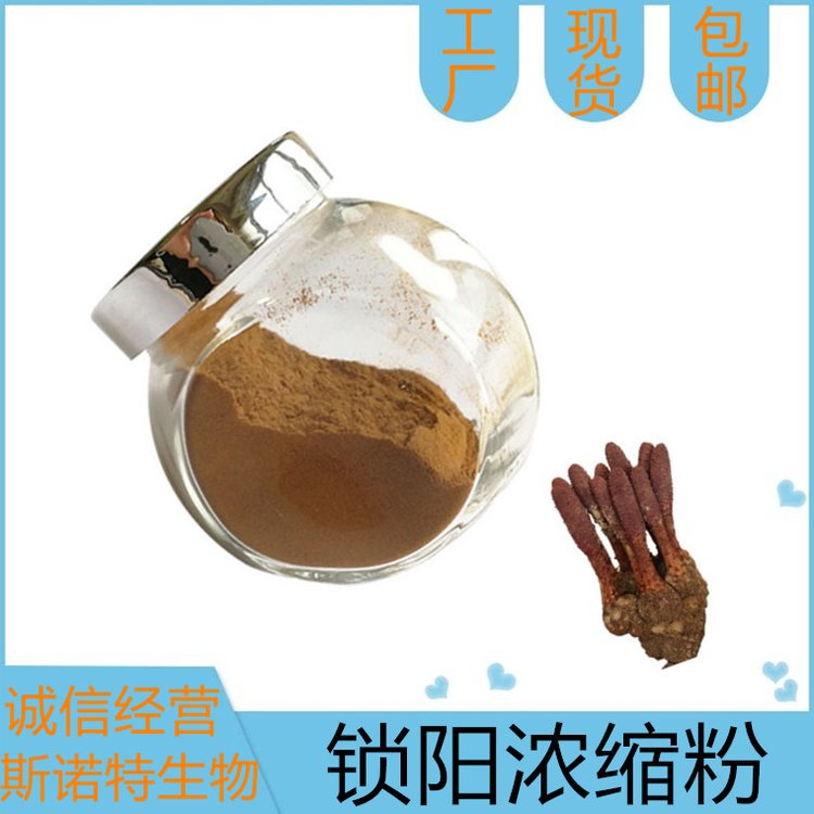 锁阳浓缩粉 斯诺特 水溶锁严子浸膏粉 可定制醇提粉末