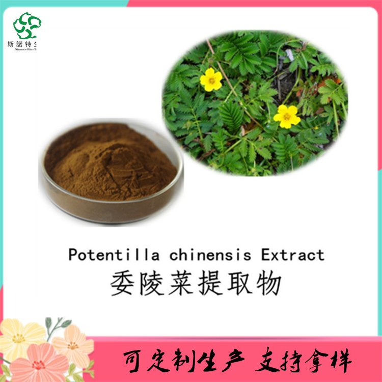 委陵菜提取物 粉末状 工艺成熟 流动性好 支持小样