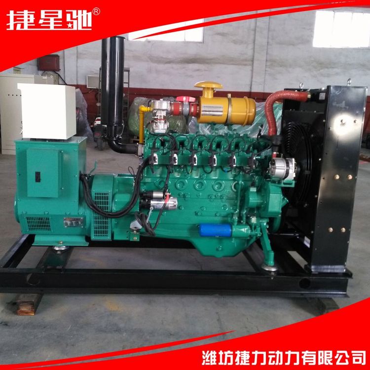 捷力动力 50KW天然气沼气发电机组 节能环保 低能耗 使用方便
