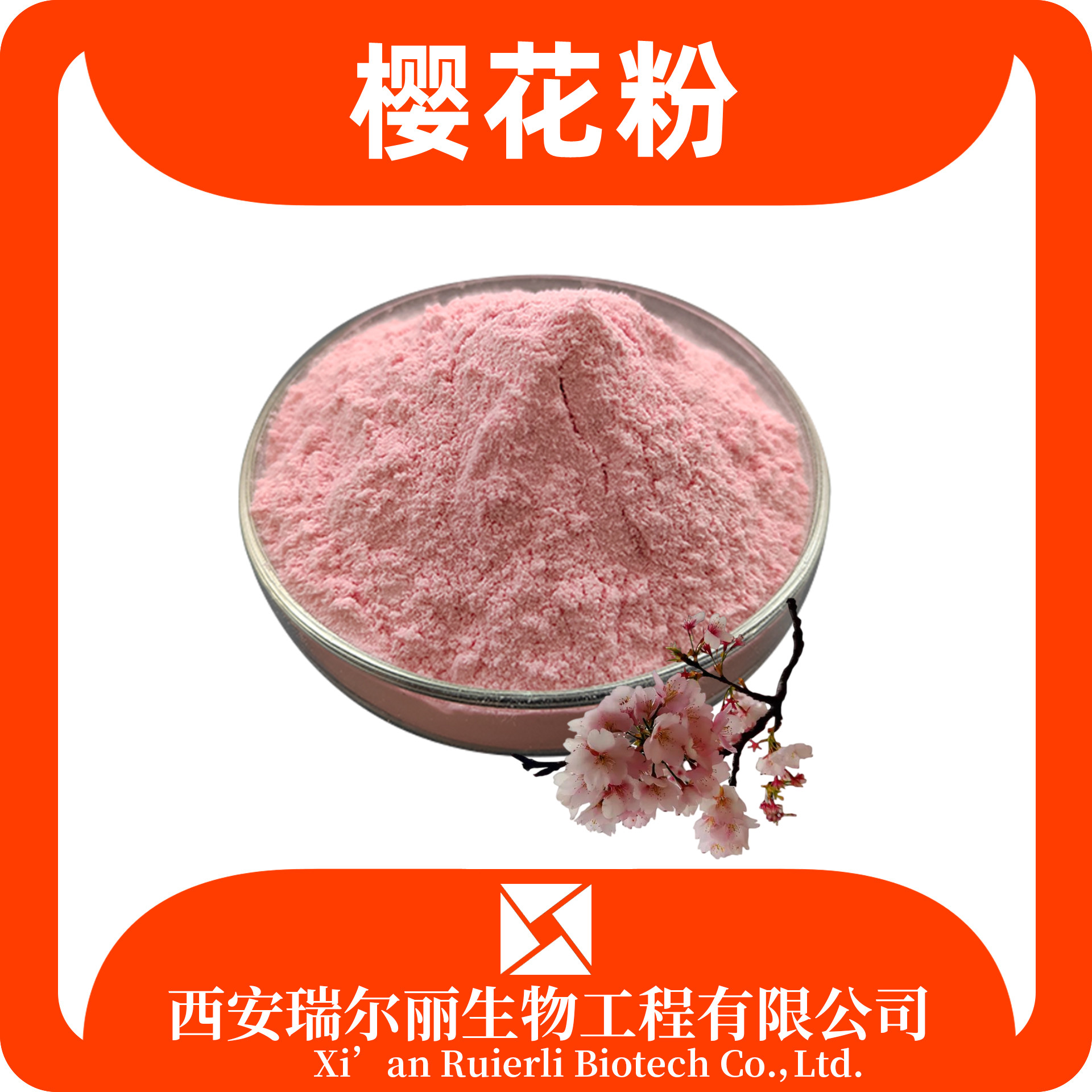 瑞尔丽生物 樱花粉99% 樱花提取物 速溶浓缩粉 喷雾干燥 源头厂家