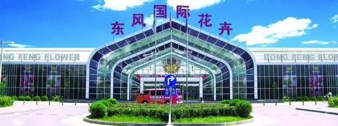 东风国际花卉