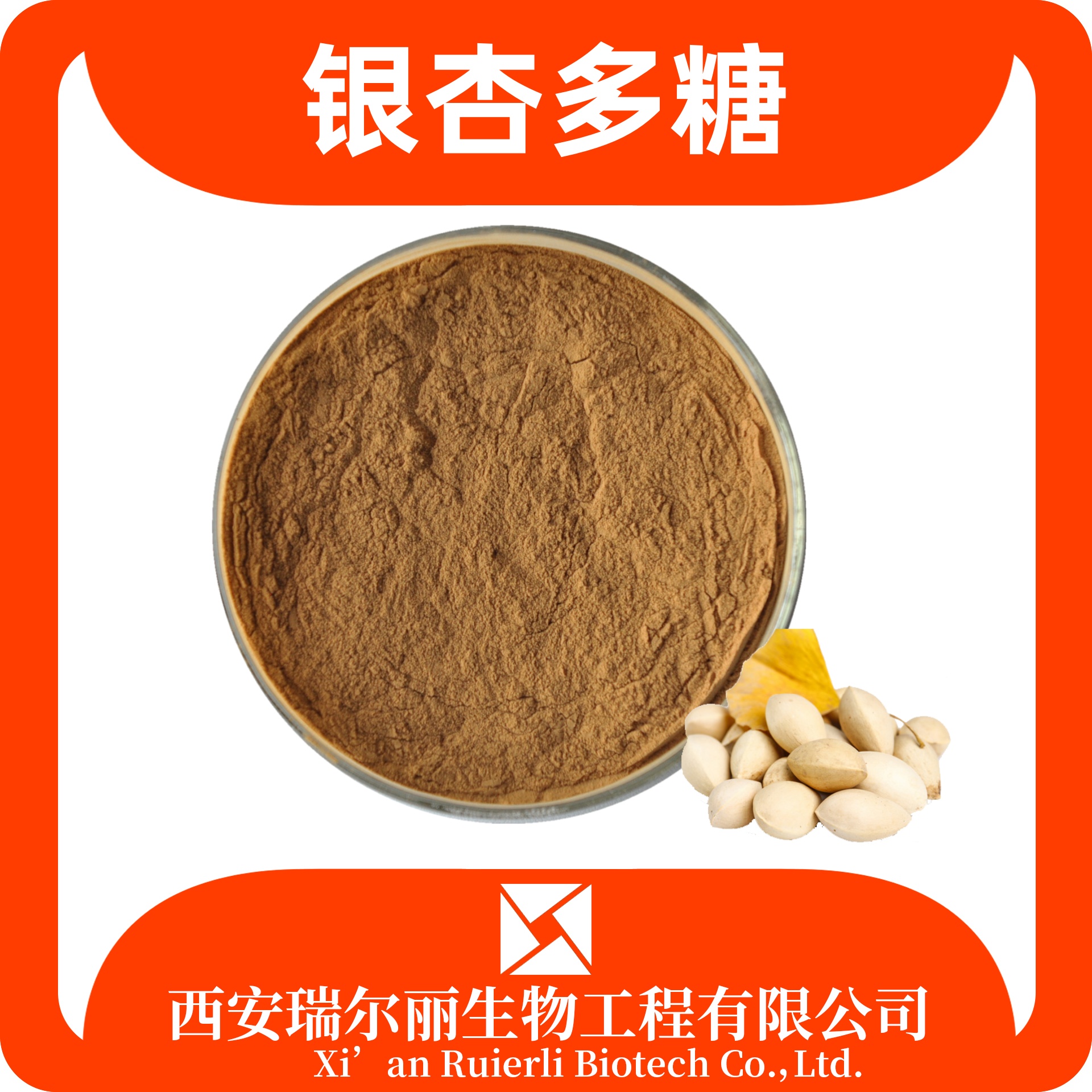 银杏多糖10-50% 银杏提取物 SC证 食品级多糖原料 可定制 瑞尔丽生物