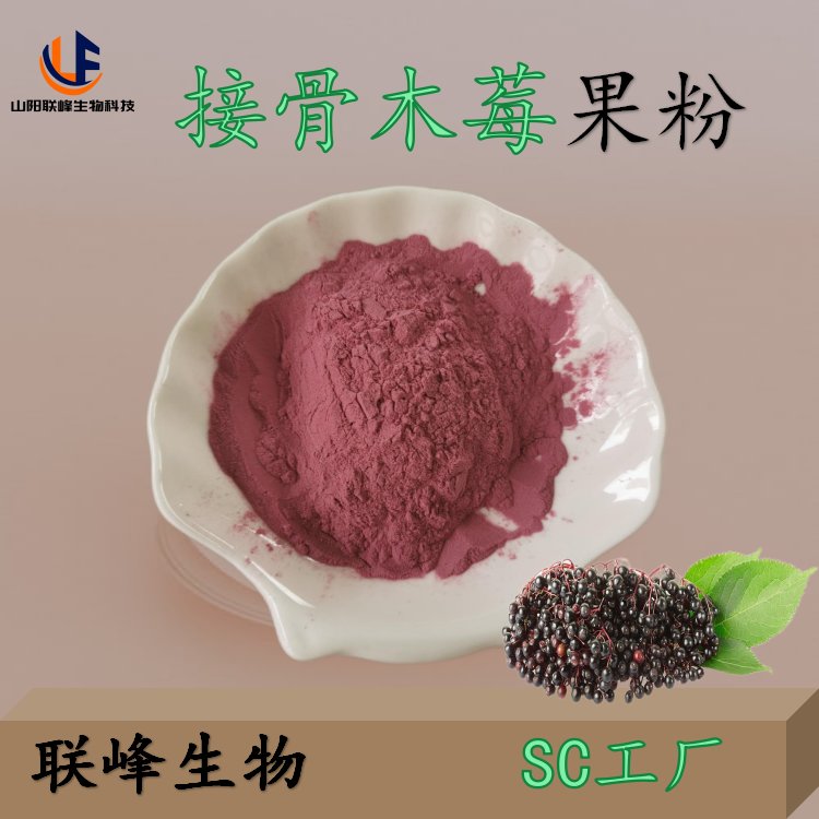 接骨木莓果粉 浓缩果汁粉 食品级 水溶性 粉末 固体饮料 原料添加 SC厂家