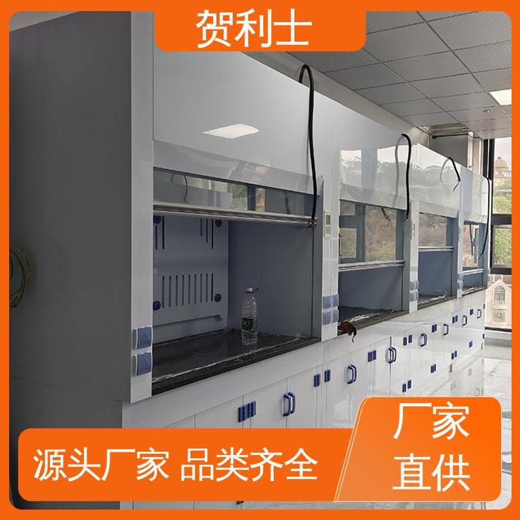 经久耐用 品质卓越 通风柜 耐高温 结构牢固可靠 贺利士