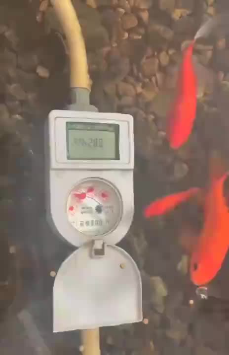 视频