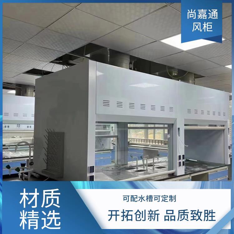 大学高校学校 实验台通风柜通风橱 环氧树脂喷涂 支持定制 尚嘉