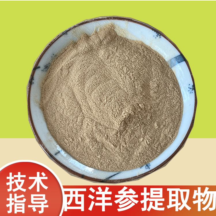 西洋参提取物 西洋参皂甙 水溶 食品原料 喷雾干燥 1公斤起订