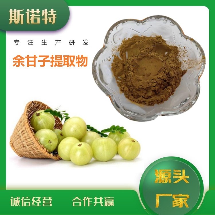 余甘子提取物 斯诺特生物 水溶性余甘子粉 固体饮料资质