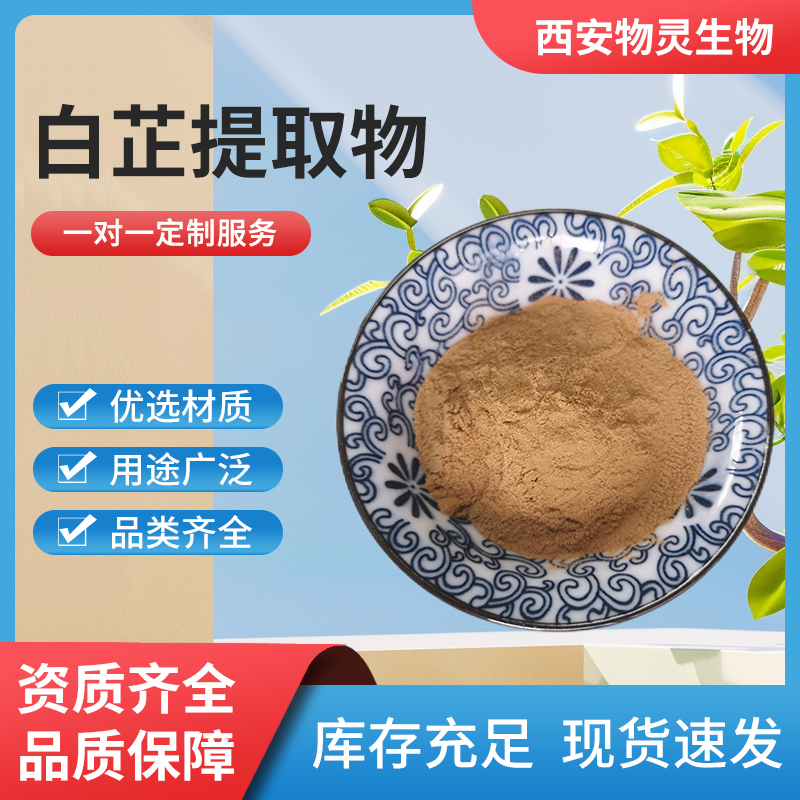 食品级白芷提取物 水溶原料10：1 浓缩粉 多规格 1kg起批